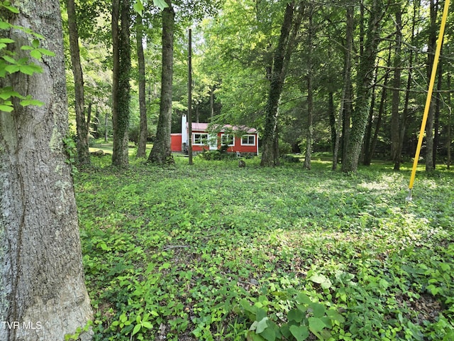 1510 Rock Creek Rd, Erwin, TN 37650 - view of yard with a view of trees