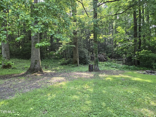 1510 Rock Creek Rd, Erwin, TN 37650 - view of green lawn featuring a wooded view