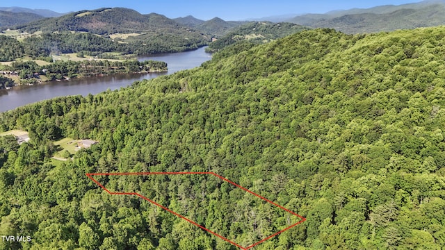 LOT9 Dugger Bridge Rd, Butler, TN 37640 - photo 8