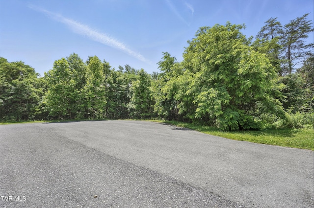 2064 Scenic Pointe Pl, Church Hill, TN 37642