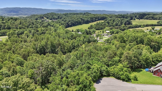 2064 Scenic Pointe Pl, Church Hill, TN 37642