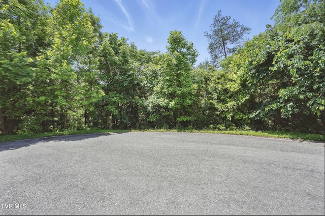 2064 Scenic Pointe Pl, Church Hill, TN 37642