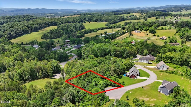 2064 Scenic Pointe Pl, Church Hill, TN 37642
