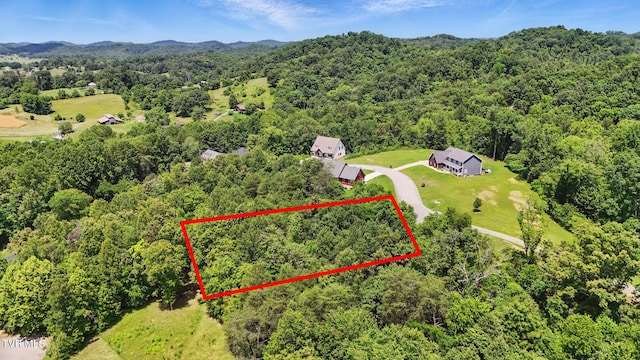 2064 Scenic Pointe Pl, Church Hill, TN 37642