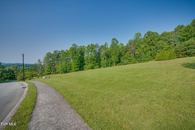309 Golf Ridge Dr, Kingsport, TN 37664 - photo 3