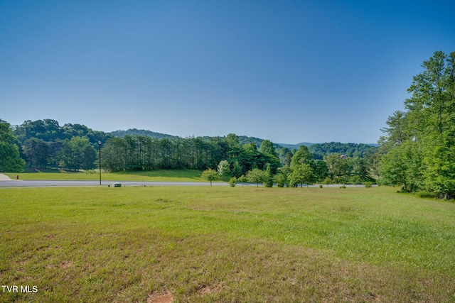309 Golf Ridge Dr, Kingsport, TN 37664 - photo 4