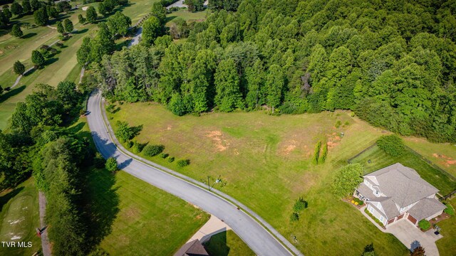 309 Golf Ridge Dr, Kingsport, TN 37664 - photo 10