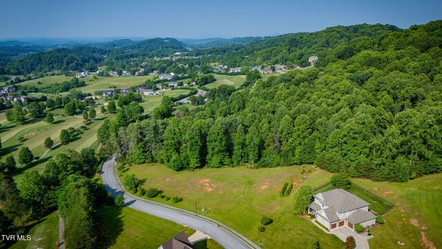309 Golf Ridge Dr, Kingsport, TN 37664 - photo 11