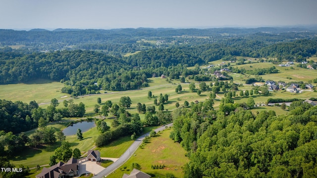 309 Golf Ridge Dr, Kingsport, TN 37664 - photo 18