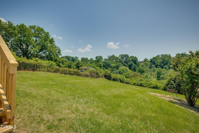 3909 Bond Dr, Kingsport, TN 37664 - view of green lawn