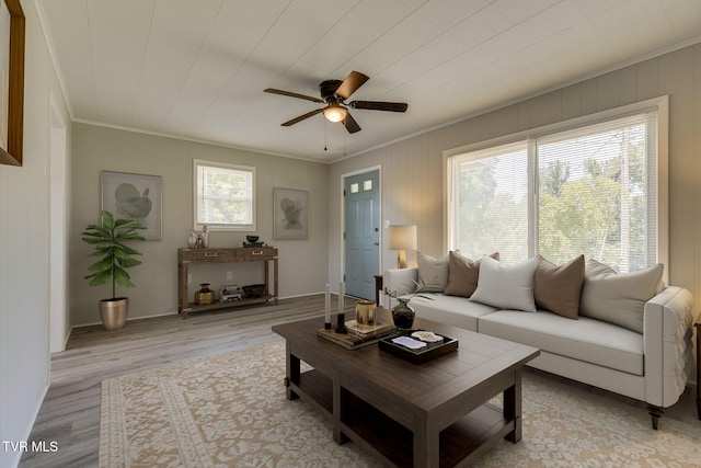 3909 Bond Dr, Kingsport, TN 37664 - living area with crown molding, ceiling fan, wood finished floors, and wood walls