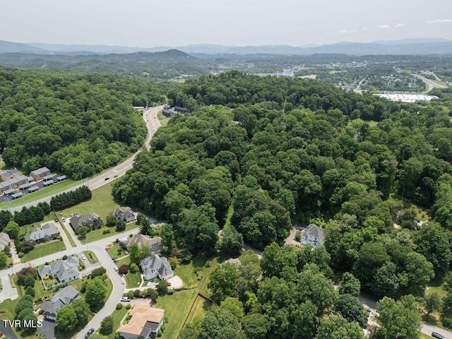 204 Shadowood Dr, Johnson City, TN 37604 - photo 7