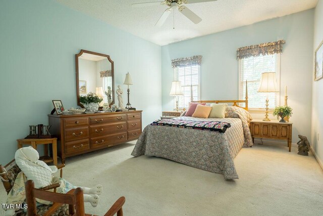 204 Shadowood Dr, Johnson City, TN 37604 - photo 29