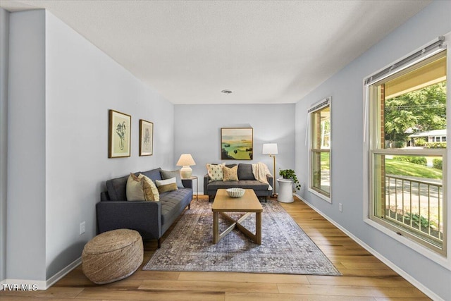 1820 Brook Hollow Rd, Johnson City, TN 37604 - living area featuring wood-type flooring and baseboards