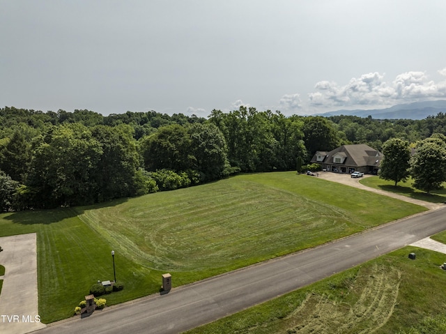 613 Waterstone Cir, Greeneville, TN 37745 - photo 8