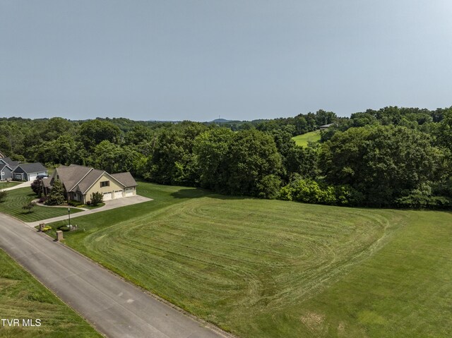 613 Waterstone Cir, Greeneville, TN 37745 - photo 9