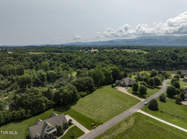 613 Waterstone Cir, Greeneville, TN 37745 - photo 4