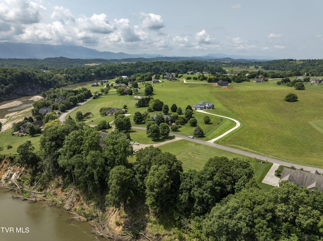 613 Waterstone Cir, Greeneville, TN 37745 - photo 10