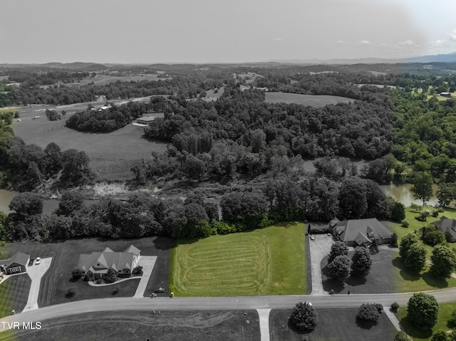 613 Waterstone Cir, Greeneville, TN 37745 - photo 6