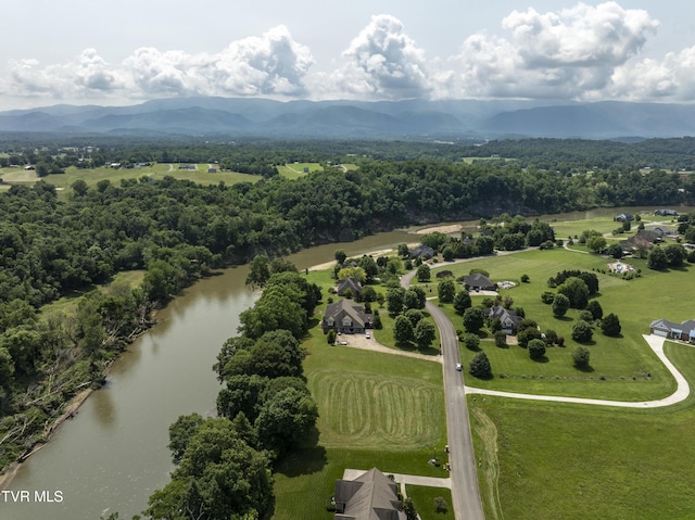613 Waterstone Cir, Greeneville, TN 37745 - photo 16