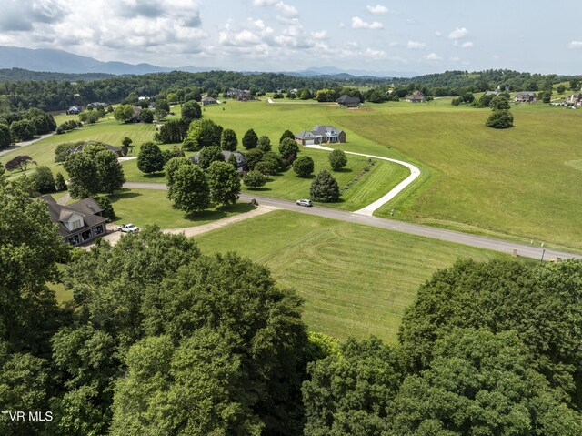 613 Waterstone Cir, Greeneville, TN 37745 - photo 22