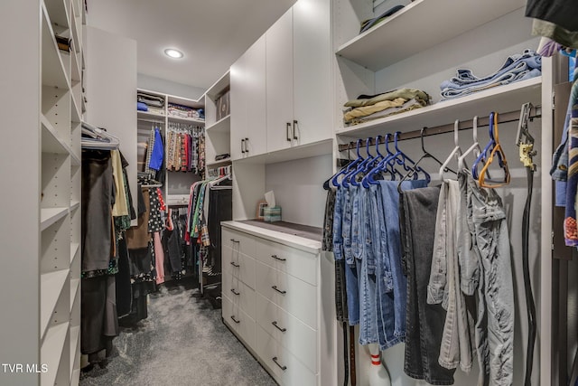 325 Barren Rd, Chuckey, TN 37641 - view of walk in closet