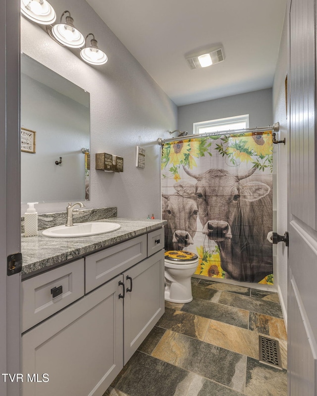 325 Barren Rd, Chuckey, TN 37641 - full bathroom featuring stone tile flooring, toilet, vanity, and curtained shower