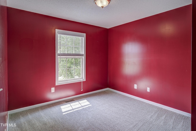 185 Thelma Hannabas Ln, Jonesborough, TN 37659 - empty room featuring a textured ceiling, carpet floors, and baseboards