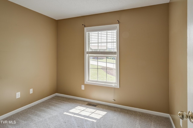 185 Thelma Hannabas Ln, Jonesborough, TN 37659 - spare room featuring healthy amount of natural light, carpet, baseboards, and a textured ceiling
