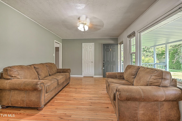 125 Cedar Valley Rd, Bristol, TN 37620 - living room featuring light wood finished floors, plenty of natural light, ceiling fan, and baseboards