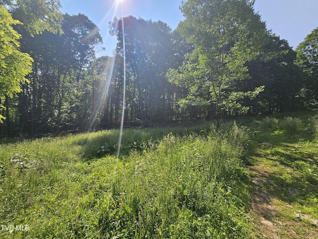 166 Dyer Rd, Roan Mountain, TN 37687