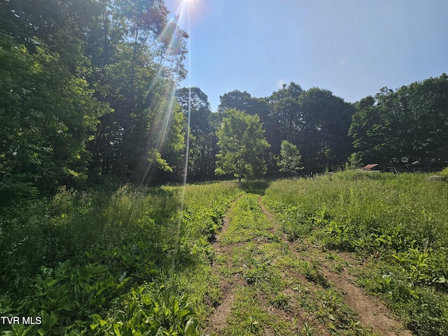166 Dyer Rd, Roan Mountain, TN 37687