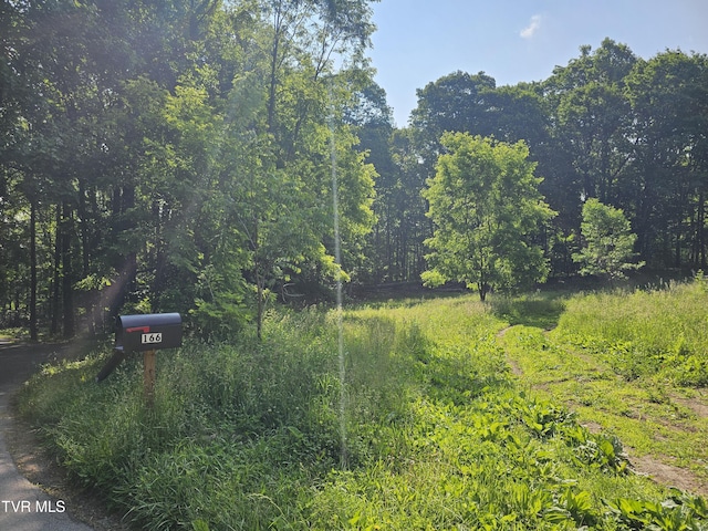 166 Dyer Rd, Roan Mountain, TN 37687