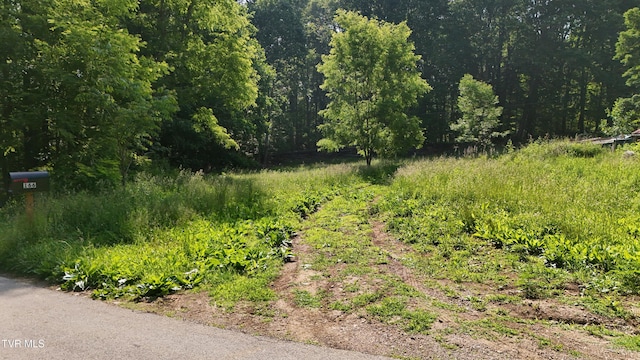 166 Dyer Rd, Roan Mountain, TN 37687