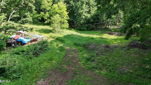 166 Dyer Rd, Roan Mountain, TN 37687