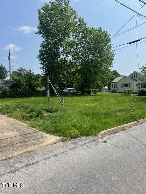 534 Ohio Ave, Erwin, TN 37650 - view of yard