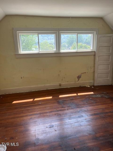534 Ohio Ave, Erwin, TN 37650 - additional living space with lofted ceiling, hardwood / wood-style flooring, plenty of natural light, and baseboards