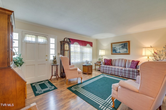 396 High Cir, Bristol, TN 37620 - living area with ornamental molding and light wood finished floors