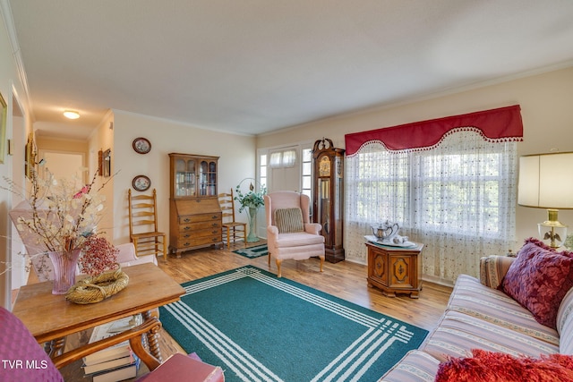 396 High Cir, Bristol, TN 37620 - living room featuring crown molding and wood finished floors