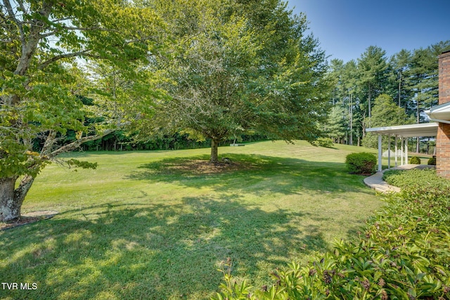 396 High Cir, Bristol, TN 37620 - view of green lawn