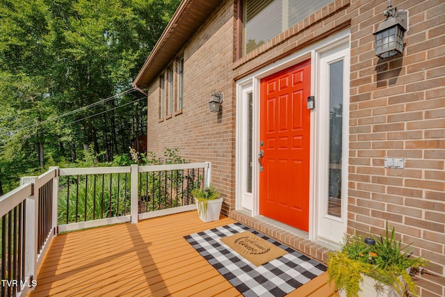 280 Possum Hollow Rd, Gray, TN 37615 - photo 10