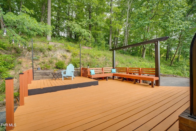 280 Possum Hollow Rd, Gray, TN 37615 - photo 43