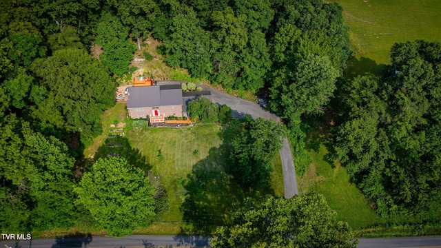 280 Possum Hollow Rd, Gray, TN 37615 - photo 50