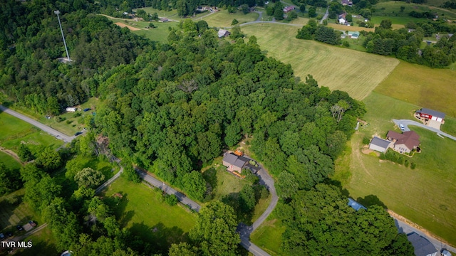 280 Possum Hollow Rd, Gray, TN 37615 - photo 51