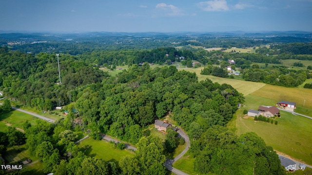 280 Possum Hollow Rd, Gray, TN 37615 - photo 52