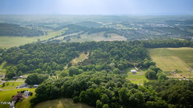 280 Possum Hollow Rd, Gray, TN 37615 - photo 54