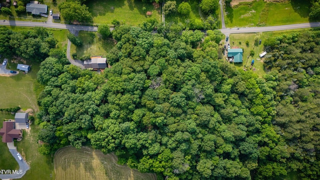 280 Possum Hollow Rd, Gray, TN 37615 - photo 55
