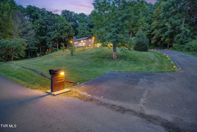 280 Possum Hollow Rd, Gray, TN 37615 - photo 3