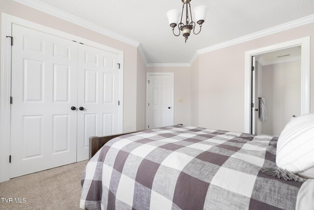 258 Cross Anchor Pl, Piney Flats, TN 37686 - photo 94