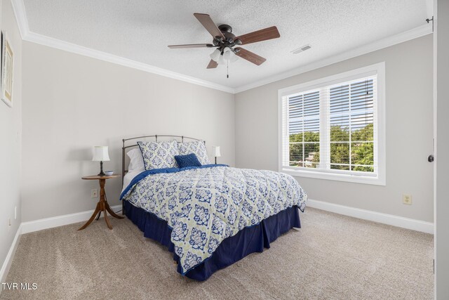 258 Cross Anchor Pl, Piney Flats, TN 37686 - photo 95